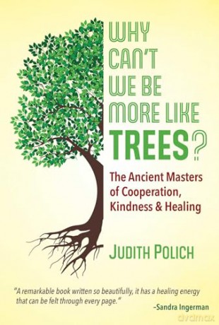 Why Cant We Be More Like Trees - Judith P Bluestone [KSIĄŻKA]