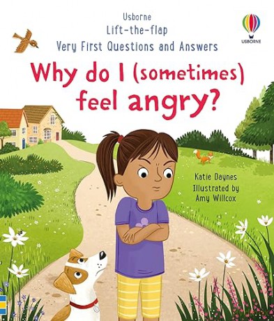 Why Do I Sometimes Feel Angry - Katie Daynes [KSIĄŻKA]