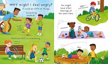 Why Do I Sometimes Feel Angry - Katie Daynes [KSIĄŻKA]