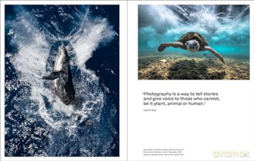 Why We Photograph Animals - Huw Lewis-Jones [KSIĄŻKA]