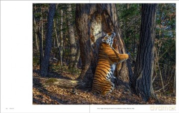 Why We Photograph Animals - Huw Lewis-Jones [KSIĄŻKA]