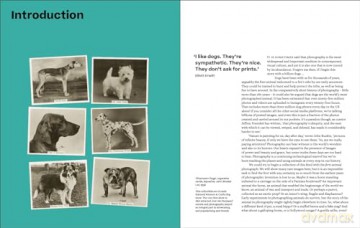 Why We Photograph Animals - Huw Lewis-Jones [KSIĄŻKA]