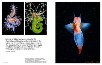 Why We Photograph Animals - Huw Lewis-Jones [KSIĄŻKA]