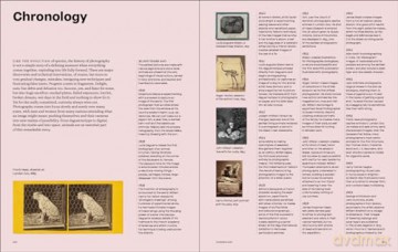 Why We Photograph Animals - Huw Lewis-Jones [KSIĄŻKA]