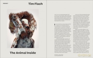 Why We Photograph Animals - Huw Lewis-Jones [KSIĄŻKA]