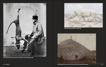 Why We Photograph Animals - Huw Lewis-Jones [KSIĄŻKA]