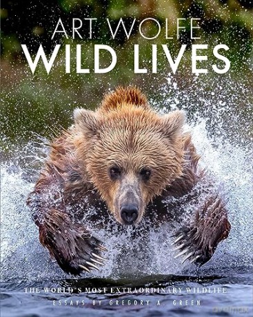 Wild - Gregory Green [KSIĄŻKA]
