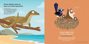 Wild About Babies - Philip Bunting [KSIĄŻKA]