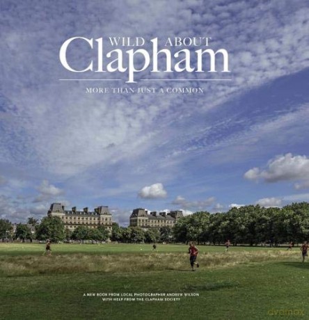 Wild About Clapham - Andrew Wilson [KSIĄŻKA]