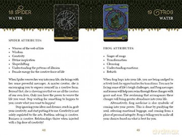 Wild Elemental Oracle The - Michelle Motuzas [KSIĄŻKA]