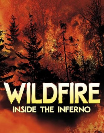 Wildfire Inside The Inferno - Jaclyn Jaycox [KSIĄŻKA]