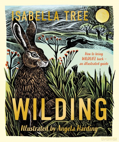 Wilding How To Bring Wildlife Back - Isabella Tree [KSIĄŻKA]