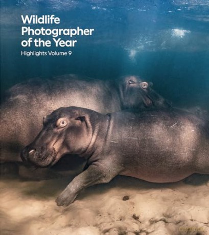 Wildlife Photographer Of The Year - Rosamund K Cox [KSIĄŻKA]