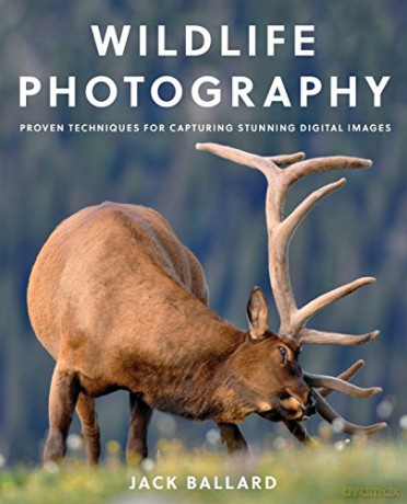 Wildlife Photography - Jack Ballard [KSIĄŻKA]