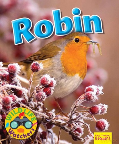 Wildlife Watchers Robin [KSIĄŻKA]
