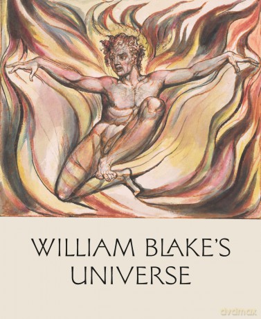 William Blakes Universe - Esther Chadwick [KSIĄŻKA]