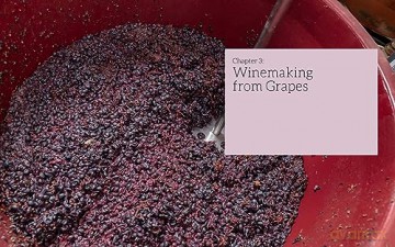 Winemaker Guide To Home Winemaking - Winemaker [KSIĄŻKA]
