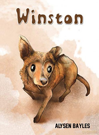Winston - Alysen Bayles [KSIĄŻKA]