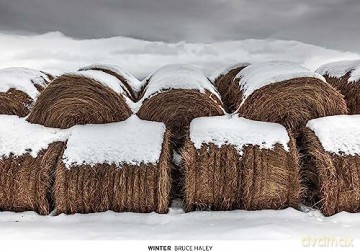 Winter [KSIĄŻKA]