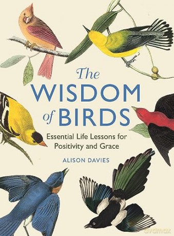 Wisdom Of Birds - Alison Davies [KSIĄŻKA]