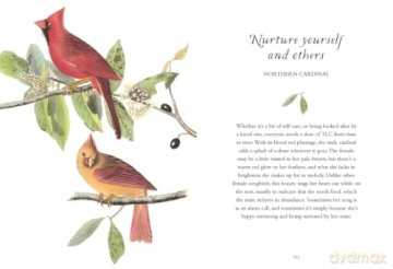 Wisdom Of Birds - Alison Davies [KSIĄŻKA]