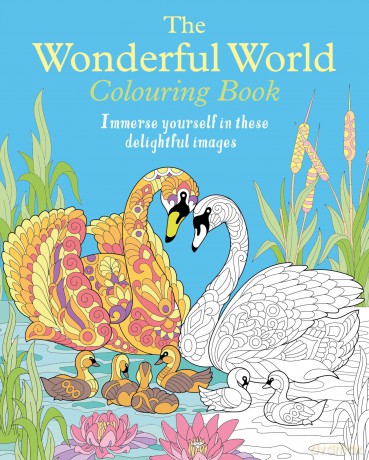 Wonderful World Colouring Book - Tansy Willow [KSIĄŻKA]