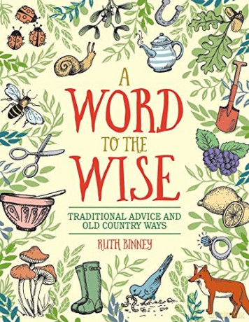 Word To The Wise - Ruth Binney [KSIĄŻKA]