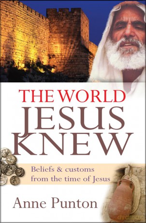 World Jesus Knew - Anne Punton [KSIĄŻKA]