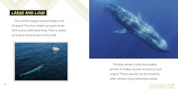 Worlds Most Amazing Animals - Cari Meister [KSIĄŻKA]
