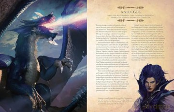 Wow The Dragonflight Codex - Rosner Sandra [KSIĄŻKA]