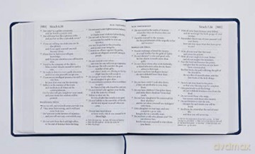 Xl Catholic Edition Bible - Stacey Antine [KSIĄŻKA]
