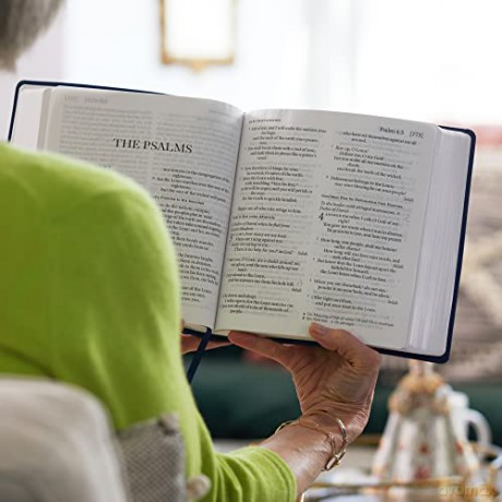 Xl Catholic Edition Bible - Stacey Antine [KSIĄŻKA]