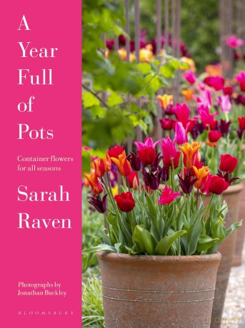 Year Full Of Pots - Sarah Raven [KSIĄŻKA]