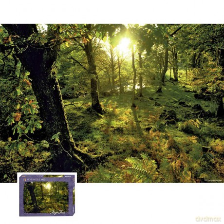 Heye 1000 El. Magic Forests, Glade [PUZZLE]