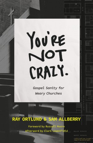 You Re Not Crazy Gospel Sanity For Wear [KSIĄŻKA]