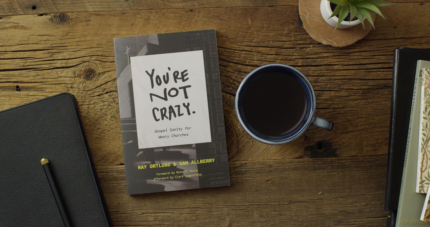 You Re Not Crazy Gospel Sanity For Wear [KSIĄŻKA]