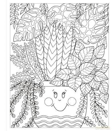 Zendoodle Coloring Houseplants - Deborah Muller [KSIĄŻKA]