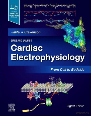 Zipes and Jalife's Cardiac Electrophysiology: From Cell to Bedside - Jose Jalife [KSIĄŻKA]