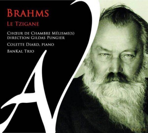 Brahms: Le Tzigane Choeur De Chambre Melismes Diard BanKal Trio (digipack) [CD]