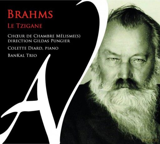 Brahms: Le Tzigane Choeur De Chambre Melismes Diard BanKal Trio (digipack) [CD]
