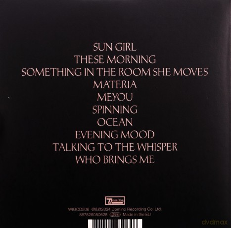Julia Holter: Something In The Room... [CD]