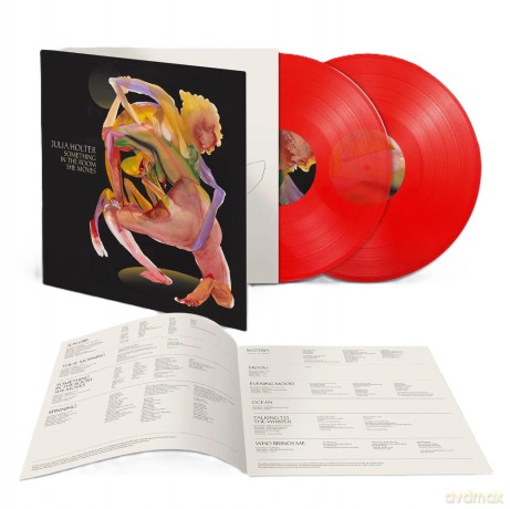 Julia Holter: Something In The Room... (Limited) [Winyl]