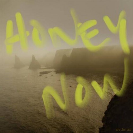 Neon Waltz: Honey Now [CD]
