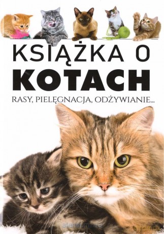 Książka o kotach. Rasy, pielęgnacja, odżywianie [KSIĄŻKA]