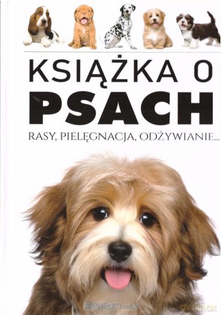 Książka o Psach. Rasy, pielęgnacja, odżywianie [KSIĄŻKA]