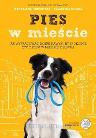 Pies w mieście - Katarzyna Migdał, Magdalena Horodyska [KSIĄŻKA]