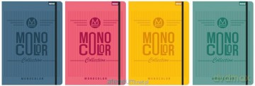 Teczka z gumką A4 Monocolor