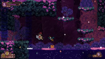 Catmaze [GRA SWITCH]