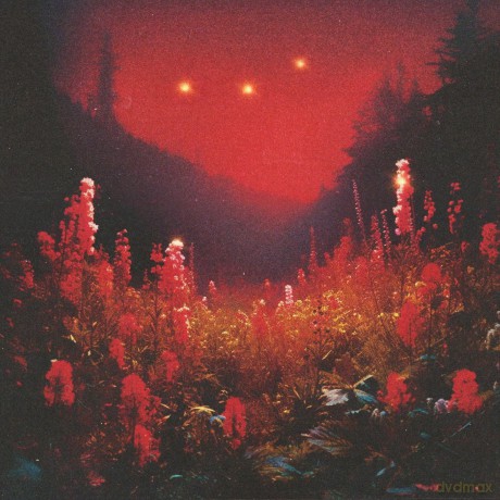 Silent Planet: Superbloom [Winyl]