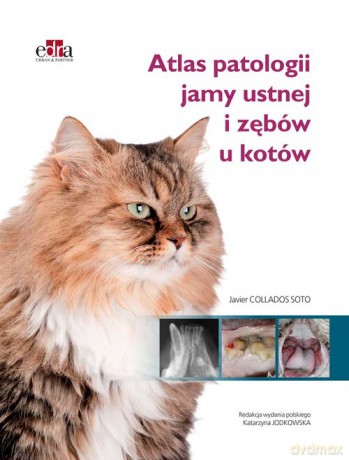 Atlas patologii jamy ustnej i zębów u kotów - J.C. Soto [KSIĄŻKA]